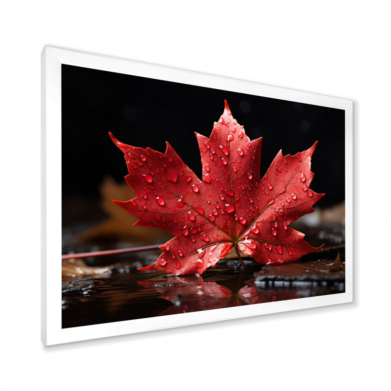 " Canada Canadian Pride III ", White, 24" H x 32" W x 1" D