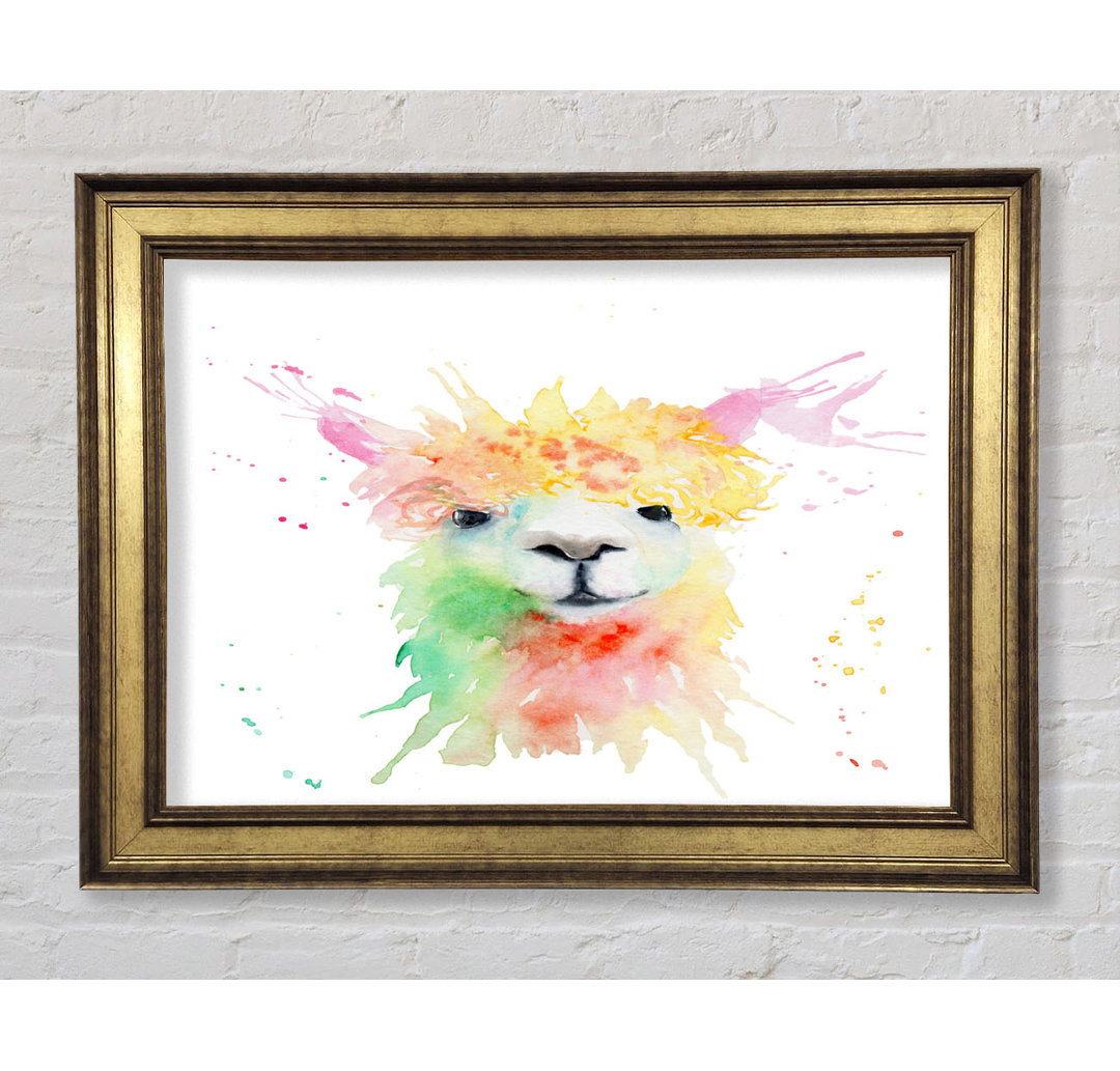 Splatter Colour Alpaca - Einzelner Bilderrahmen Kunstdrucke