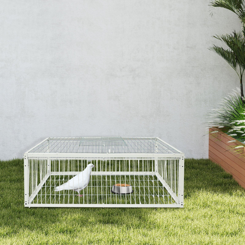 Cage à pigeons rectangulaire autoportante, H 10,23 po x l 15,74 po x P 27,55 po