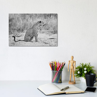 Leopard In Black And White - Print on Canvas