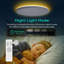 Plafonnier encastré avec veilleuse, luminaire de 36 W avec télécommande, CCT complet et luminosité réglable, plafonnier à DEL de 18 pouces pour la cuisine, le bureau et la chambre d'enfant-100209576-100209577