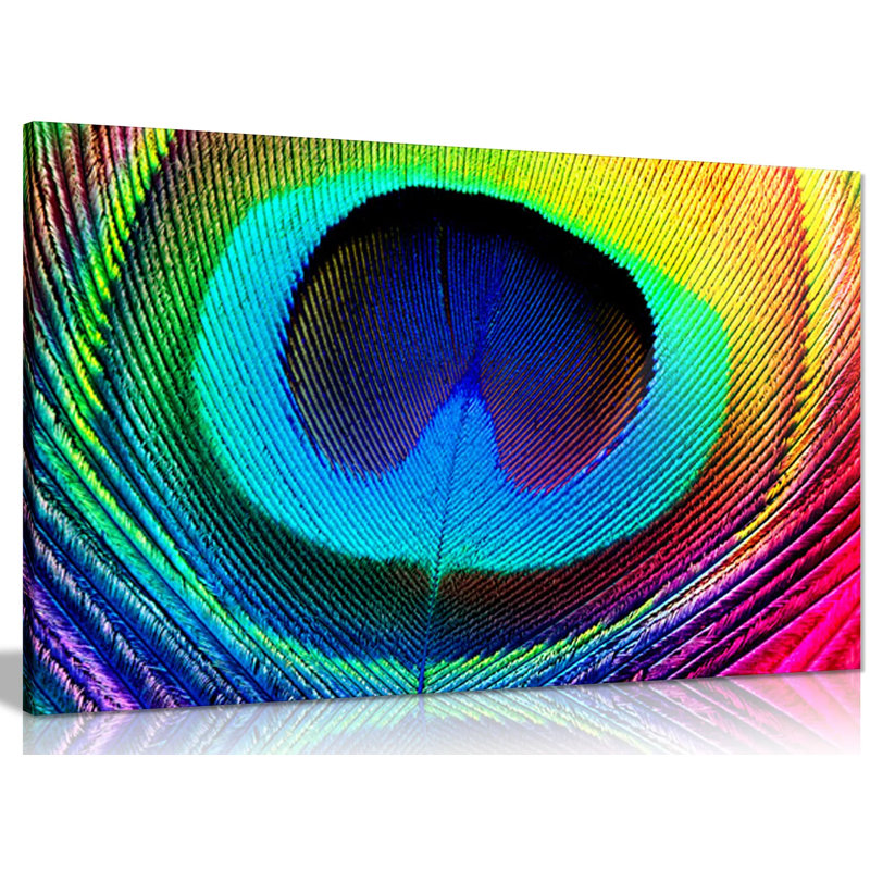 Peacock Feather Animal - Wrapped Canvas Print, 31cm H x 46cm W