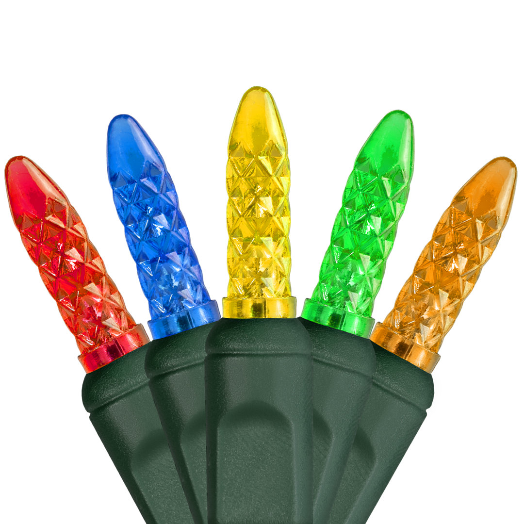 288'' LED String Lights Wintergreen Lighting 