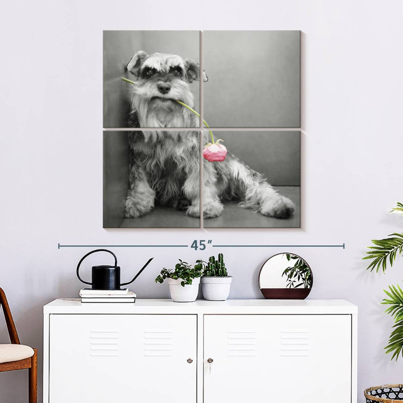 Brampt Ziggy BW, 32" H x 32" W