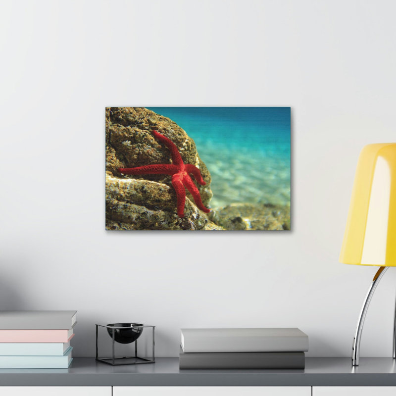 No Frame Print on Canvas, 27.94cm H x 35.56cm W
