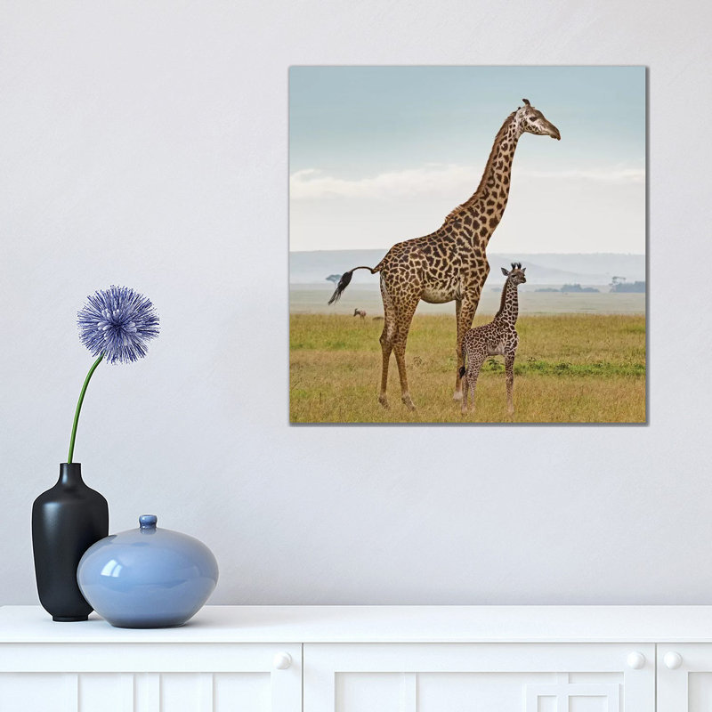 Colour Giraffe & Calf by Klaus Tiedge - Print on Canvas, 45.72 cm H x 45.72 cm W x 1.91 cm D, Wrapped Canvas