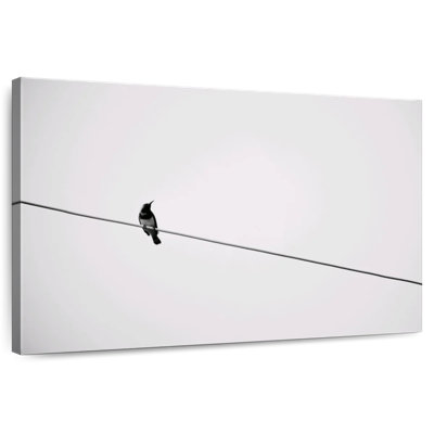 Brampt Simple Bird On Wire