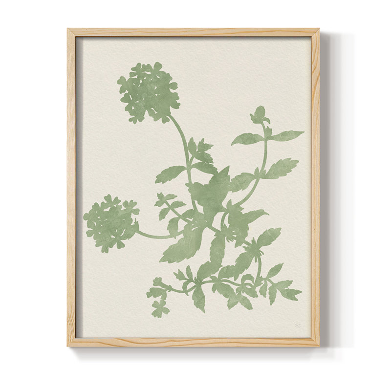 «Vintage Garden II», H 21 po x l 17 po
