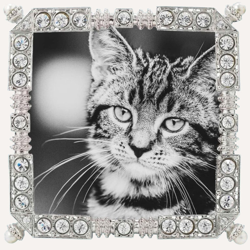 Madison Metal Picture Frame