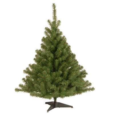 Spruce Christmas Tree