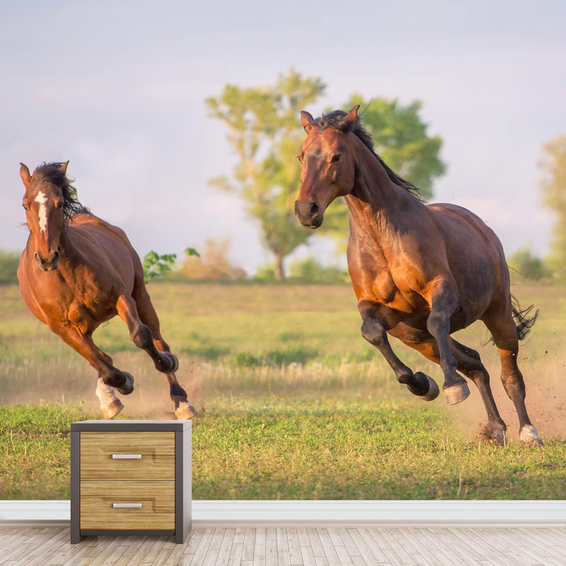 Country Mustang Étalon Chevaux Animaux Photographie de nature Décoratif Paysage, L 66 po x l 96 po