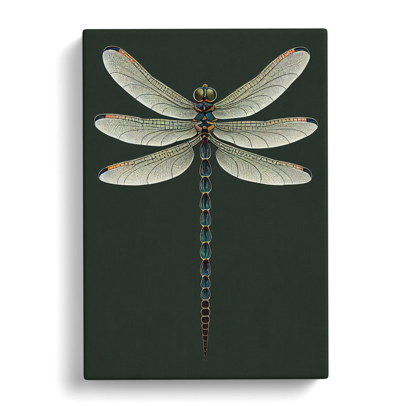 Symmetrical Dragonfly - Wrapped Canvas, 76cm H x 35cm W x 3cm D