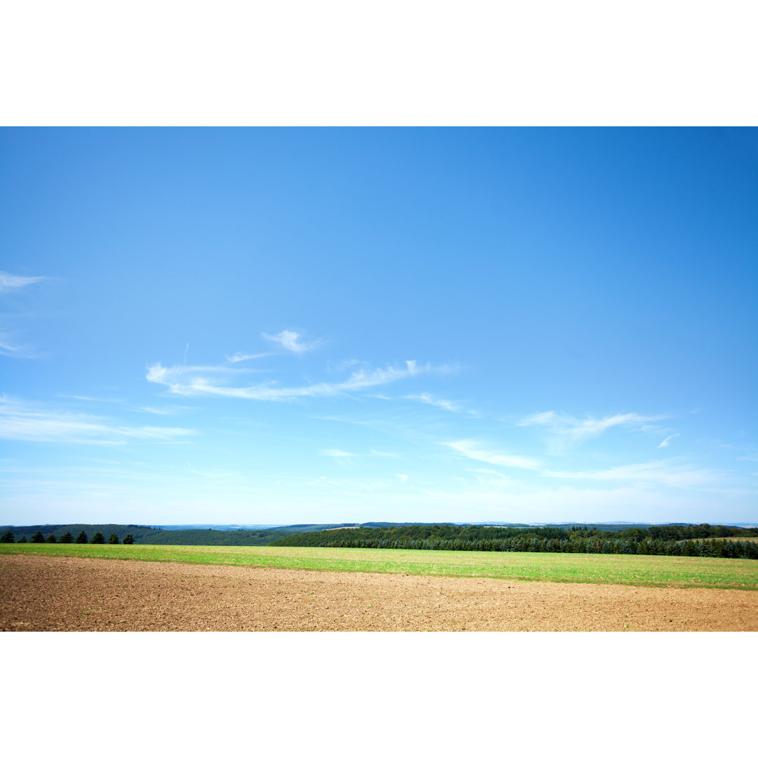 Sommerfeld von Justhavealook - Ohne Rahmen auf Leinwand