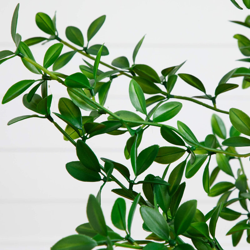 Artificial Shady Lady Black Olive Tree, 60" H x 20" W x 20" D