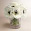 Anemone In Vase