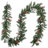 The Holiday Aisle 9ft. Leavon Garland with Clear Lights