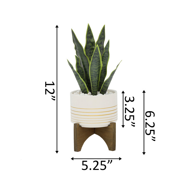Plante artificielle en pot 12 po Gallucci, Blanc
