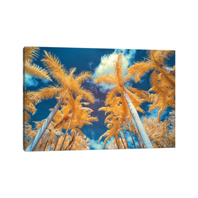 Palm Tree I by Glauco Meneghelli - Wrapped Canvas Print