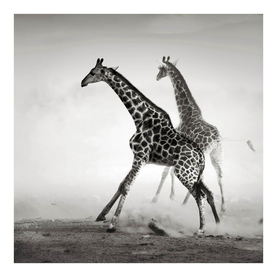 Seidenmatte Fototapete Giraffe Hunt