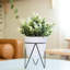 Eucalyptus artificiel 12 po en pot