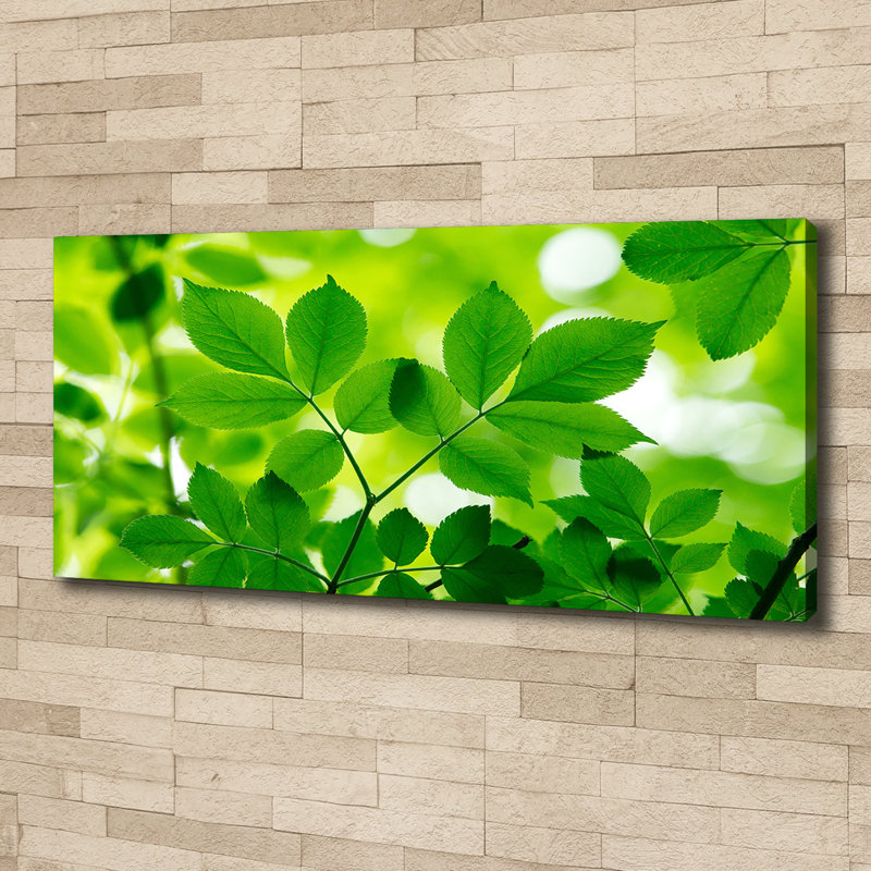 Green Leaves - Wrapped Canvas Print