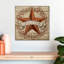 Tergel Barn Star avec baies I-111896883
