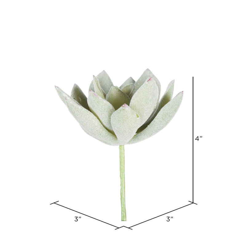 Ensemble de 6 branches artificielles Echeveria