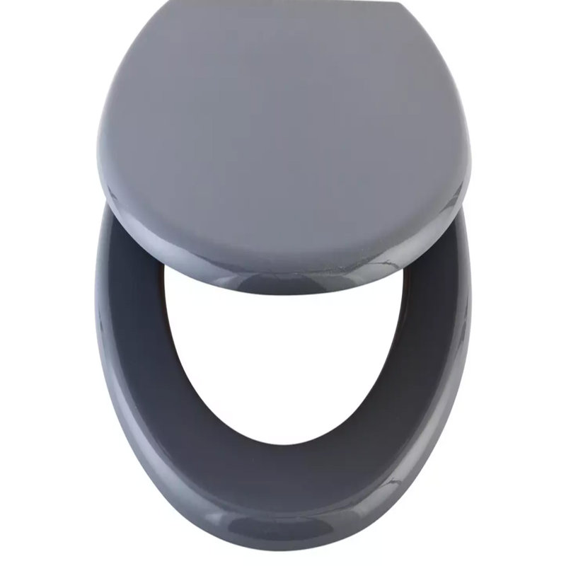 Hernandes Elongated Standard Toilet Seat, Grey