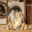 Tapis beige et beige lavable à la machine Ottavio-1843805563