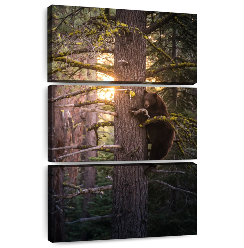 Brampt Bear On A Tree, 74" H x 48" W