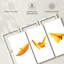 Origami 3 pièces-876170912