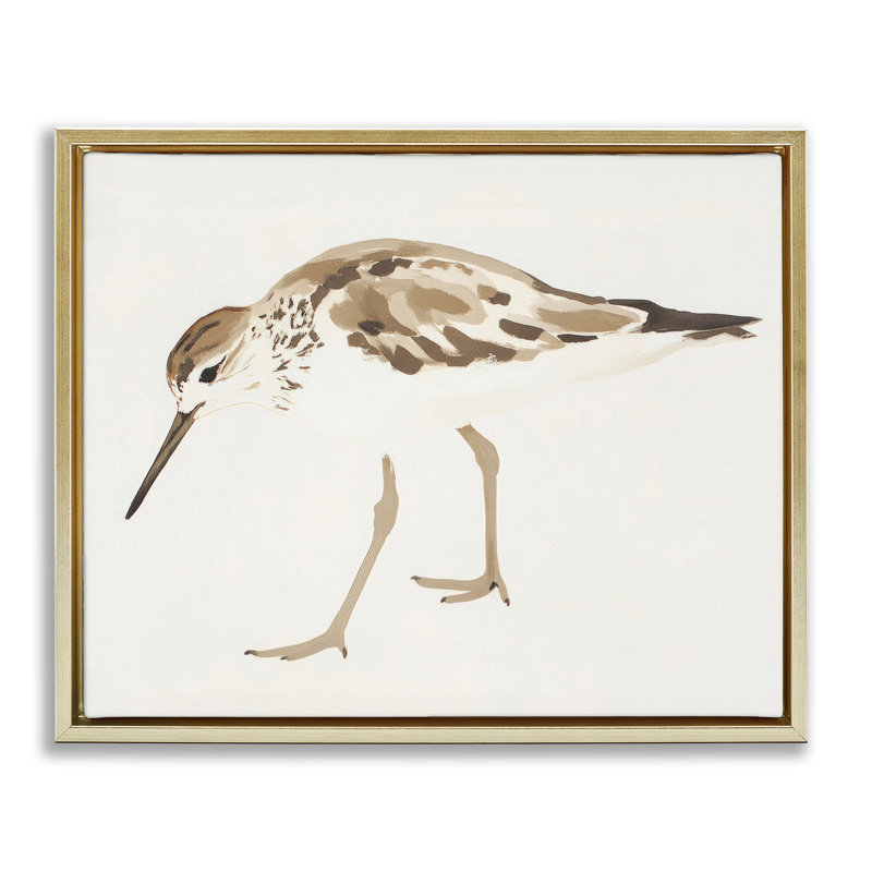 Cadre flottant Sandpiper Shore Bird, H 25 po x l 31 po, Cadre flottant métallique doré