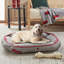 Lit pour chien Safavieh Penny-214917006