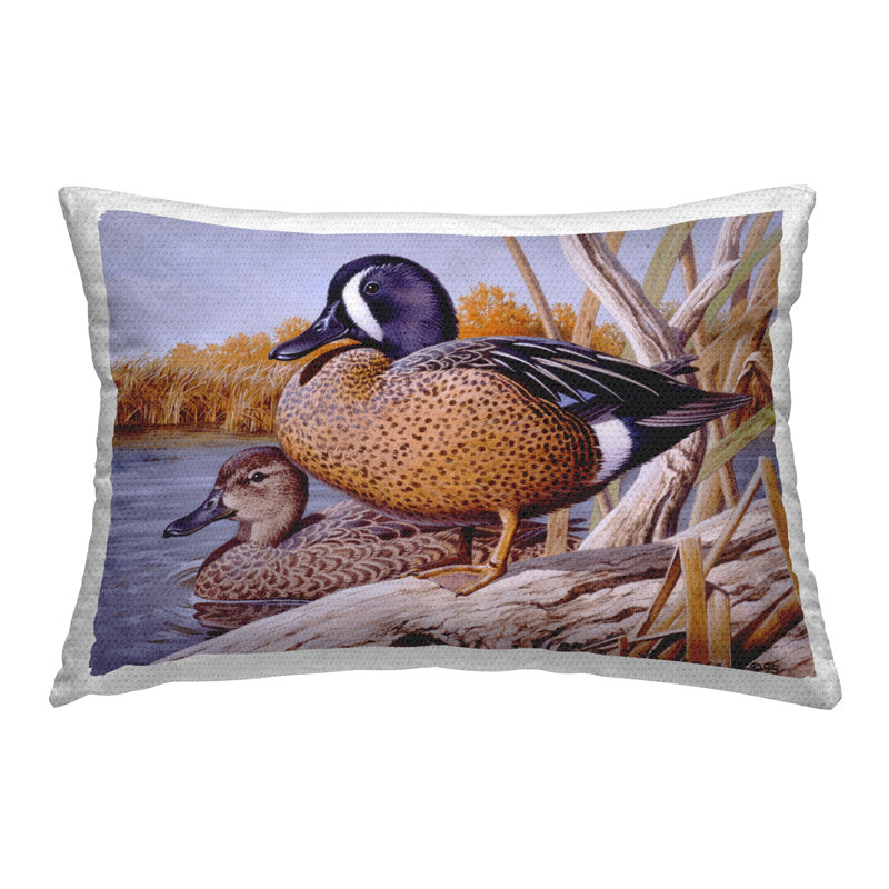 Polyester Throw Rectangular Indoor/Outdoor Pillow Cover & Insert by Rod Lawrence