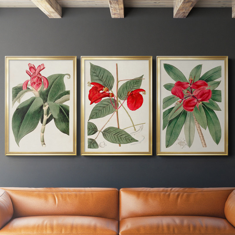 «Flora Of The Tropics I», toile encadrée de qualité supérieure - prête à être accrochée, H 42,5 po x l 61 po x P 2,5 po