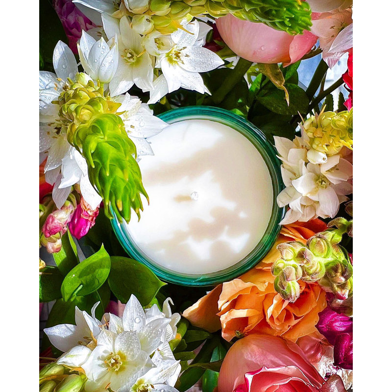 House and Home 15.5oz Jungle Bloom Signature Candle - Treehouse, 6.5 oz.