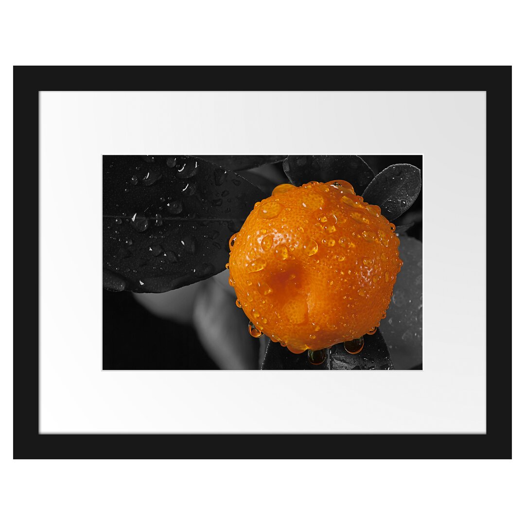 Gerahmtes Poster Orange mit Wassertropfen