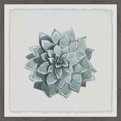 " Flower Top View II " by Marmont Hill