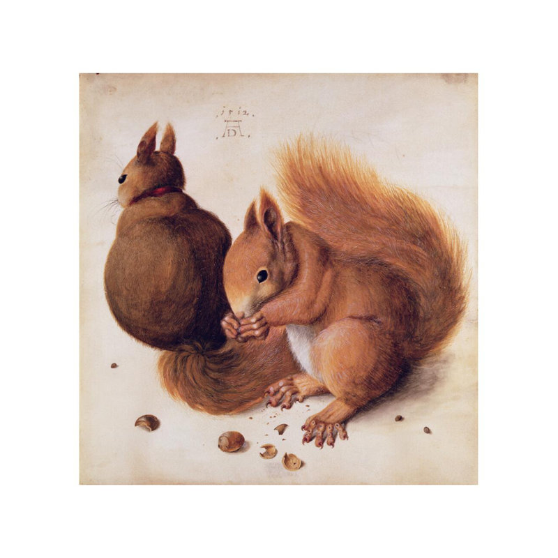 Écureuils par Albrecht Dürer - Estampe numérique, H 28 po x l 22 po