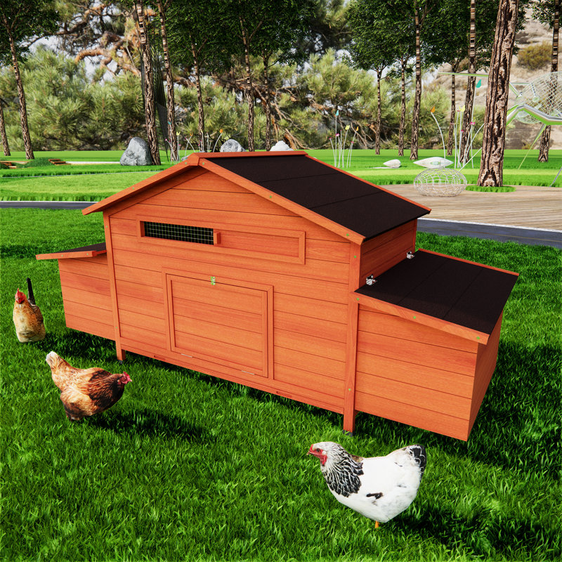 Poulailler d'extérieur en bois avec 2 zones de nidification et des portes de rangées, un plateau étanche, un système de verrouillage sécuritaire, un intérieur aéré, un point d'accès facile, un endroit confortable pour courir