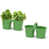 Apple Green is unavailable