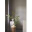 Bloom Botanica Stainless Steel Pot Planter-70655428