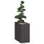 Planter 80x80 Cm Steel-523919833-523919837