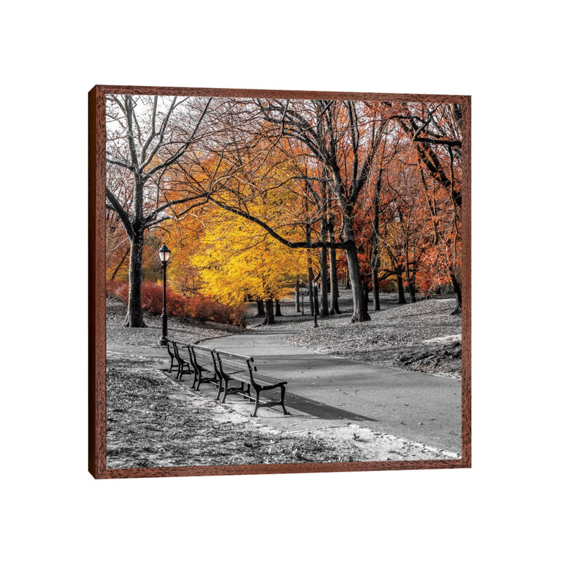 Park Pretty I by Assaf Frank - Print on Canvas, 93.98 cm H x 93.98 cm W, Classic Brown Wood Framed Canvas