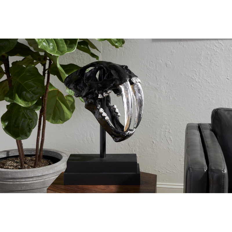 Saber Tooth Tiger Skull