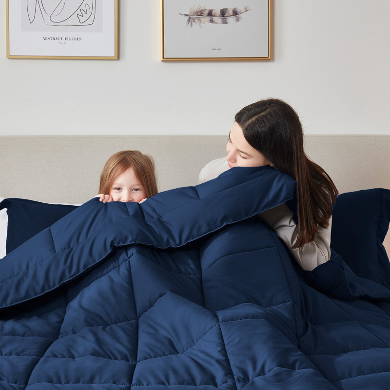 All Season Solid Lightweight Down Alternative Comforter, Navy, Queen Comforter