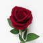 Tige de velours roses-31954745