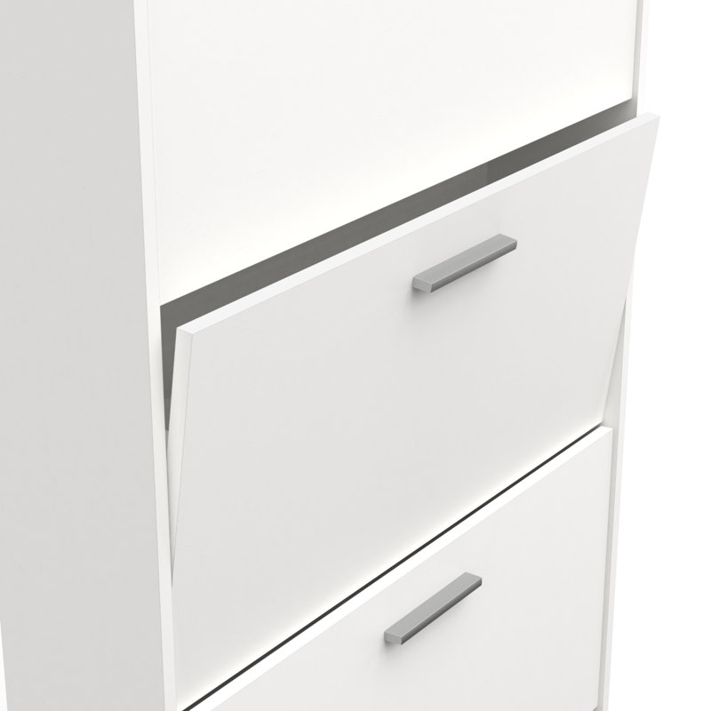 Barbaa 12 Pair Shoe Storage Cabinet