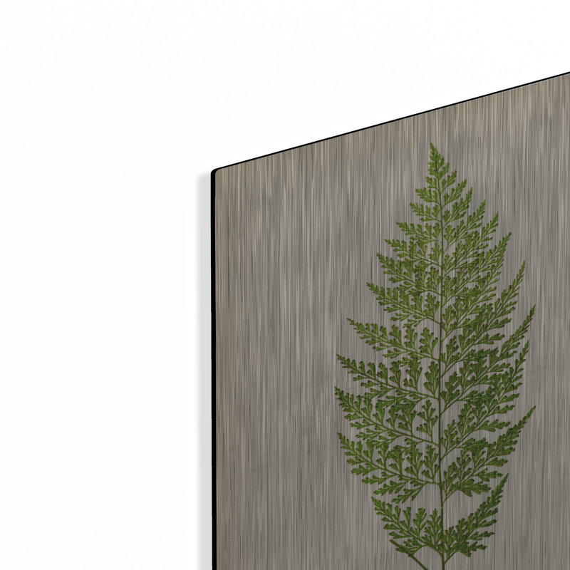 Art mural Luxe Art «Davallia Tenuifolia» par Art Licensing Studio, H 16 po x l 12 po