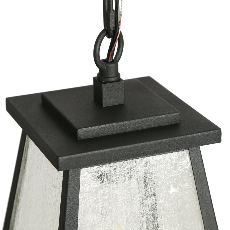 Vendramin Outdoor Hanging Lantern